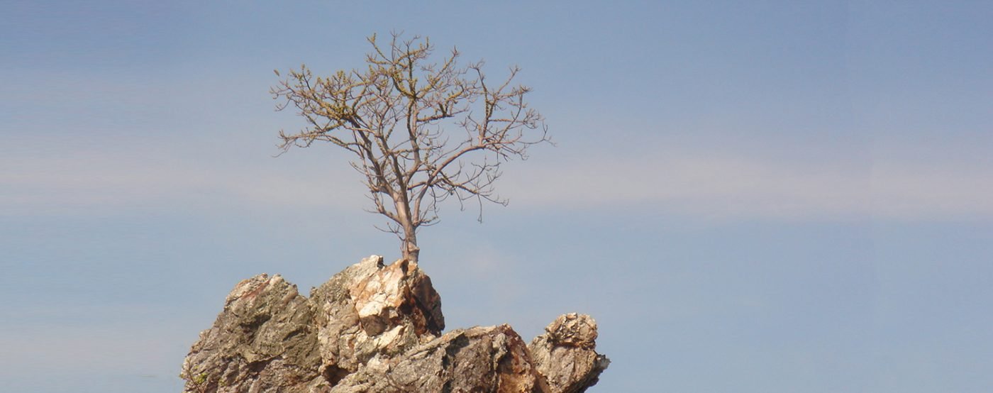 RESILIÊNCIA: 10 DICAS DE COMO DESENVOLVER